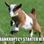 cute baby goat | BANKRUPTCY STARTER KIT! | image tagged in cute baby goat | made w/ Imgflip meme maker