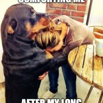 Dog comforting human | MY BESTIE COMFORTING ME; AFTER MY LONG DAY AT PUBLIC SCHOOL | image tagged in dog comforting human | made w/ Imgflip meme maker