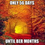 Only 56 days until the Ber months | ONLY 56 DAYS; UNTIL BER MONTHS | image tagged in autumn walk | made w/ Imgflip meme maker