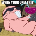 Me when on a trip: | WHEN YOUR ON A TRIP: | image tagged in rufus kim possible chill | made w/ Imgflip meme maker