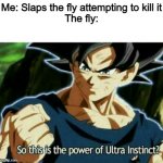 So this is the power of ultra instinct | Me: Slaps the fly attempting to kill it
The fly: | image tagged in so this is the power of ultra instinct | made w/ Imgflip meme maker