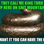 Polished Turd | THEY CALL ME KING TURD UP HERE ON SHIT MOUNTAIN, IF YOU WANT IT YOU CAN HAVE THE CROWN. | image tagged in polished turd | made w/ Imgflip meme maker