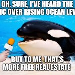Orca talking into a microphone | OH, SURE, I'VE HEARD THE PANIC OVER RISING OCEAN LEVELS; BUT TO ME, THAT'S MORE FREE REAL ESTATE | image tagged in orca talking into a microphone | made w/ Imgflip meme maker
