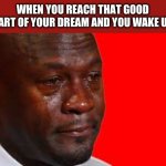 Crying jordan Meme | WHEN YOU REACH THAT GOOD PART OF YOUR DREAM AND YOU WAKE UP | image tagged in crying jordan meme | made w/ Imgflip meme maker