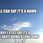 Hawk flying | YA'LL CAN SAY IT'S A HAWK; BUY I STILL SAY ITS A RAT ON SKIES DOING A LONG JUMP | image tagged in hawk flying | made w/ Imgflip meme maker