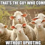 Curious sheep | LOOK! THAT'S THE GUY WHO COMMENTS; WITHOUT UPVOTING | image tagged in curious sheep | made w/ Imgflip meme maker