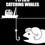 Pepe3.0 CATCHING WHALES | PEPE3.0
CATCHING WHALES | image tagged in pepe the frog fishing | made w/ Imgflip meme maker