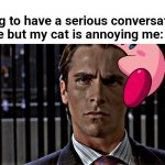 Patrick Bateman Staring | Nobody:
Me trying to have a serious conversation with someone but my cat is annoying me: | image tagged in patrick bateman staring,cats,cat,patrick bateman | made w/ Imgflip meme maker