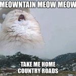 Country Roads Cat | MEOWNTAIN MEOW MEOW; TAKE ME HOME
COUNTRY ROADS | image tagged in country roads cat | made w/ Imgflip meme maker