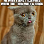 Fr tho | MF WITH PEANUT ALLERGIES WHEN I HIT THEM WITH A BRICK | image tagged in more dumb cat,memes,funny,holip,holup,who_am_i | made w/ Imgflip meme maker