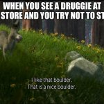 Shrek Donkey I like that boulder. that is a nice boulder. | WHEN YOU SEE A DRUGGIE AT THE STORE AND YOU TRY NOT TO STARE | image tagged in shrek donkey i like that boulder that is a nice boulder | made w/ Imgflip meme maker