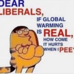 Dear liberals meme