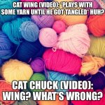 Playing With Yarn (A Chuck X Wing Cat Video) | CAT WING (VIDEO): *PLAYS WITH SOME YARN UNTIL HE GOT TANGLED* HUH? CAT CHUCK (VIDEO): WING? WHAT’S WRONG? | image tagged in yarn | made w/ Imgflip meme maker