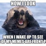 If you’ve had this happen, congrats. If not, your time will come. | HOW I LOOK; WHEN I WAKE UP TO SEE ONE OF MY MEMES ARE FRONT PAGE | image tagged in excited otter,otter,relatable,funny,funny memes,front page | made w/ Imgflip meme maker