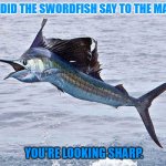 Daily Bad Dad Joke July 11, 2023 | WHAT DID THE SWORDFISH SAY TO THE MARLIN? YOU'RE LOOKING SHARP. | image tagged in marlin | made w/ Imgflip meme maker