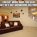 The orb | FIRECAT: WING, HAVE YOU SEEN EARTHCAT? HE'S NOT ANSWERING HIS PHONE AND- | image tagged in living room ceiling fans | made w/ Imgflip meme maker