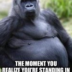 Fat gorilla  | THE MOMENT YOU REALIZE YOU’RE STANDING IN FRONT OF A TRAIL CAMERA | image tagged in fat gorilla | made w/ Imgflip meme maker
