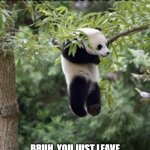 "Just hanging around" | THE FAMOUS "JUST HANGING AROUND GUY"; BRUH, YOU JUST LEAVE HIM ALONE ...SOME PEPLE ARE ALWAYS HANGING AROUND TO CHILL | image tagged in panda just hanging around | made w/ Imgflip meme maker