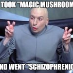 Dr Evil air quotes | HE TOOK "MAGIC MUSHROOMS"; AND WENT "SCHIZOPHRENIC" | image tagged in dr evil air quotes | made w/ Imgflip meme maker