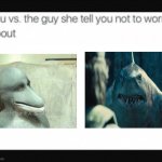 Dolphin muzzle vs king shark | image tagged in you vs the guy | made w/ Imgflip meme maker
