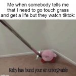If you watch tiktok you need to delete that app and go touch grass PLEASE | Me when somebody tells me that I need to go touch grass and get a life but they watch tiktok: | image tagged in kirby has found your sin unforgivable,memes,funny,you know the rules it's time to die,say goodbye,tiktok sucks | made w/ Imgflip meme maker