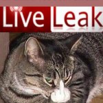 LIVELEAK meme