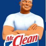 Mr clean | THIS GUY IS EITHER A THIEF OR A CROW,WHY YOU ASK? BECAUSE HE WILL CLEAN UR HOUSE OF EVERYTHING THAT'S SHINY | image tagged in mr clean | made w/ Imgflip meme maker