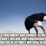 Ostrich head in sand | EU PARLIAMENT AND COUNCIL IF THEY DON'T INCLUDE NON-CONSENSUAL DISSEMINATION OF INTIMATE MATERIAL IN ARTICLE 8. | image tagged in ostrich head in sand | made w/ Imgflip meme maker
