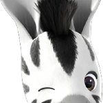 Zou