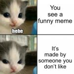For me it’s zerofrost but she deleted | You see a funny meme; It’s made by someone you don’t like | image tagged in cute cat hehe and not hehe | made w/ Imgflip meme maker