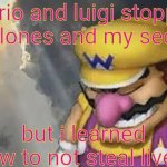 the liver saga not ended yet but we got a sad feeling with wario | mario and luigi stopped the clones and my security; but i learned how to not steal livers | image tagged in sad wario original,funny,memes | made w/ Imgflip meme maker