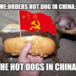 Hot dogs in china be like... | ME:ORDERS HOT DOG IN CHINA:; THE HOT DOGS IN CHINA: | image tagged in hot dog | made w/ Imgflip meme maker