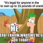 d: | "It's legal for anyone in the US to own up to 15 pounds of uranium"; ME | image tagged in hey ferb i know what we're gonna do today | made w/ Imgflip meme maker