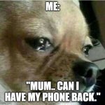 MY LIFEEE | ME:; "MUM.. CAN I HAVE MY PHONE BACK." | image tagged in crying chiwawa | made w/ Imgflip meme maker