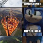 Sonic meets climbers | IMAGINE SOMEONE CLIMB IT; THEY CLIMB IT; STOP! | image tagged in donebach,sonic the hedgehog,sonic,meme,template,latticeclimbing | made w/ Imgflip meme maker