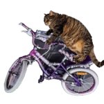 Blair on her bike