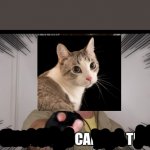 CATTY | image tagged in a foolish miscalculation | made w/ Imgflip meme maker