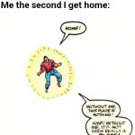 Home! | Nobody:
Me the second I get home: | image tagged in home | made w/ Imgflip meme maker
