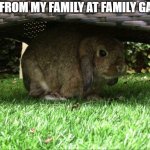 Bunny Hiding in the Shade | ME HIDING FROM MY FAMILY AT FAMILY GATHERINGS: | image tagged in bunny hiding in the shade | made w/ Imgflip meme maker