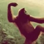 Dancing Monkey GIF Template