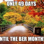 Only 49 days until the Ber Months | ONLY 49 DAYS; UNTIL THE BER MONTHS | image tagged in autumn bridge | made w/ Imgflip meme maker