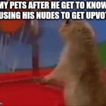 Other pet owner after knowing posting pictures of your pet get you upvotes. | MY PETS AFTER HE GET TO KNOW I'M USING HIS NUDES TO GET UPVOTES. | image tagged in animal lover | made w/ Imgflip video-to-gif maker