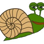Snail Pepe
