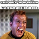 daily meme | HUMANS: WHY ARE ELEPHANTS SCARED OF MICE? THEY ARE WAY BIGGER; ALSO HUMANS WHEN THEY SEE A BUG: | image tagged in captain kirk screaming,human stupidity | made w/ Imgflip meme maker