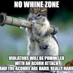 Bazooka Squirrel Acorn Attack | NO WHINE ZONE; VIOLATORS WILL BE PUMMELED WITH AN ACORN ATTACK
AND THE ACORNS ARE HARD, REALLY HARD | image tagged in memes,bazooka squirrel | made w/ Imgflip meme maker