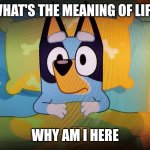 Bluey in bed | WHAT'S THE MEANING OF LIFE; WHY AM I HERE | image tagged in bluey in bed | made w/ Imgflip meme maker