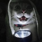 Cat Telling Scary Stories