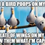 Nemo Birds | WHEN A BIRD POOPS ON MY CAR; MEMEs by Dan Campbell; I EAT A PLATE OF WINGS ON MY PORCH 
TO SHOW THEM WHAT I'M CAPABLE OF | image tagged in nemo birds | made w/ Imgflip meme maker