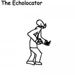 The Echolocator