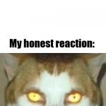 be honest | "My Honest Reaction" memes be like:; My honest reaction: | image tagged in sigma cat,relatable memes,funny | made w/ Imgflip meme maker